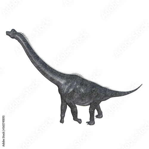 Brachiosaurus dinosaur isolated 3drender © Blueinthesky