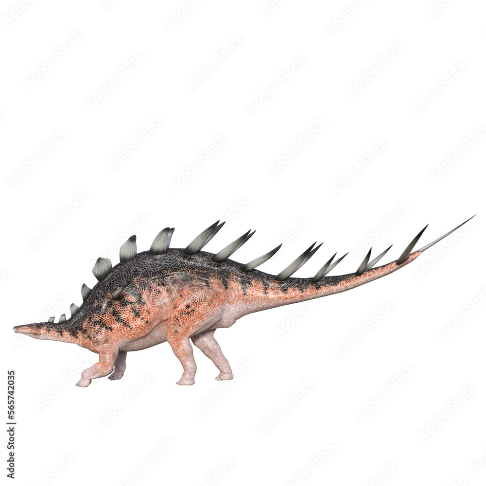 Fototapeta premium Kentrosaurus dinosaur isolated 3d render