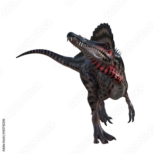 Spinosaurus dinosaur isolated 3d render