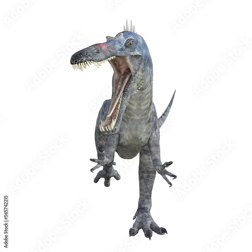Suchomimus dinosaur isolated 3d render © Blueinthesky