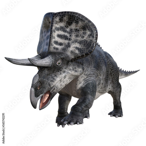 Zuniceratops dinosaur isolated 3d render © Blueinthesky