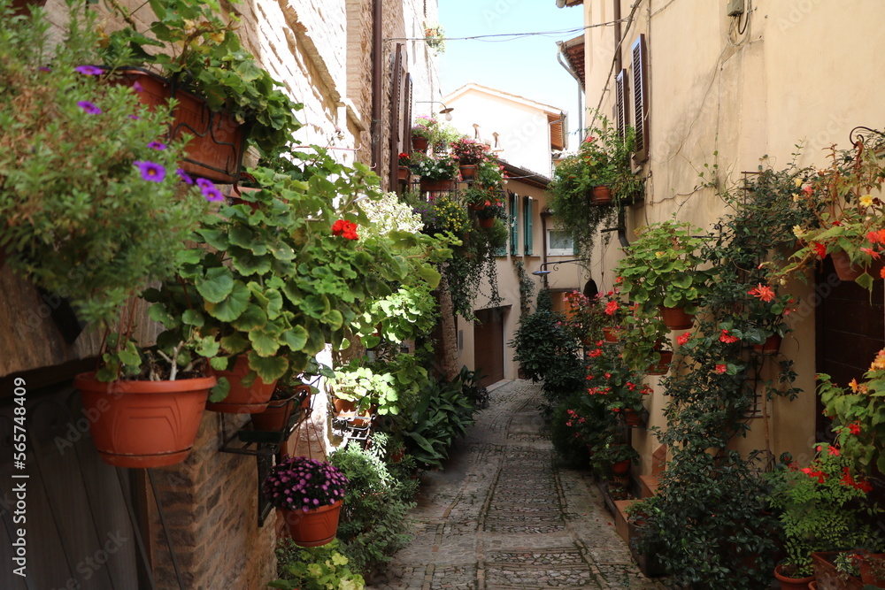 Summer in old town of Spello, Umbria Italy