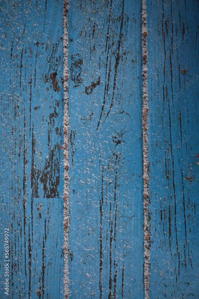 Obraz premium blue texture painted wood gray stripes covered white snow, background peeling old paint texture,Abstract blue-grey background old painted wood fence texture of peeling paint closeup, snow wood paint