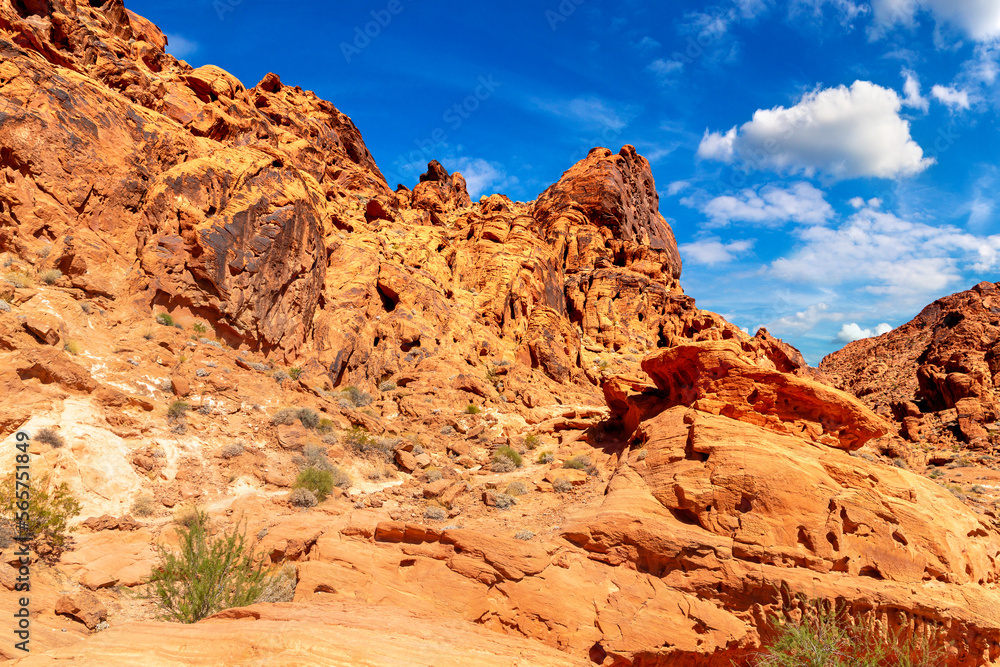 Fototapeta premium Valley of Fire State Park