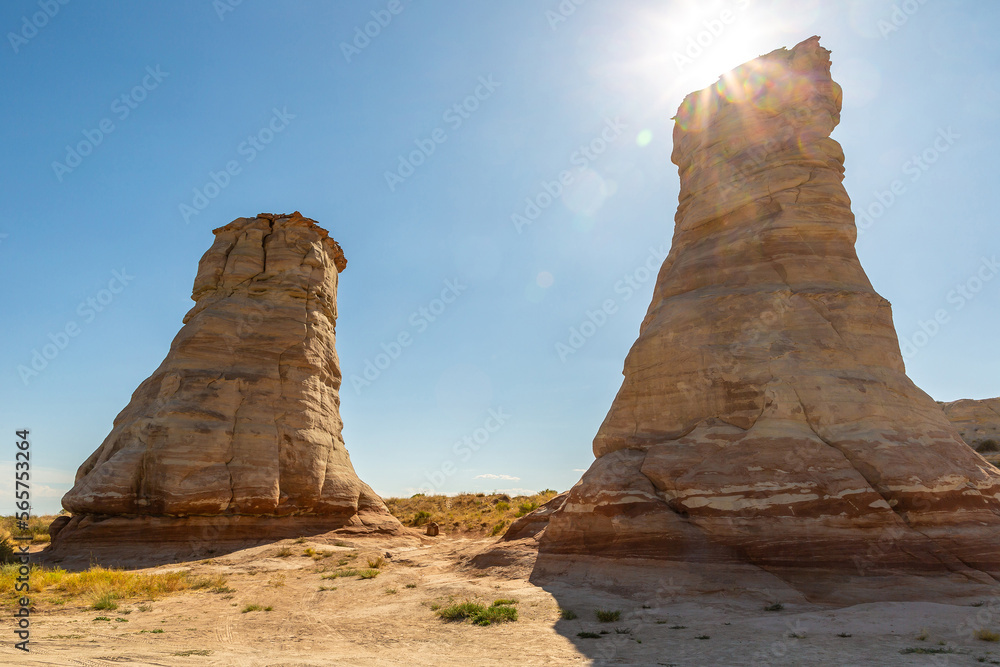 Elephant Feet in Navajo nation reservation