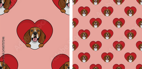 England, Beagle dog with paws pattern, Valentine's day heart wallpaper. Love heart with pet head holiday texture. Dog face Holding Heart Cartoon square background. St Valentine's day present paper.