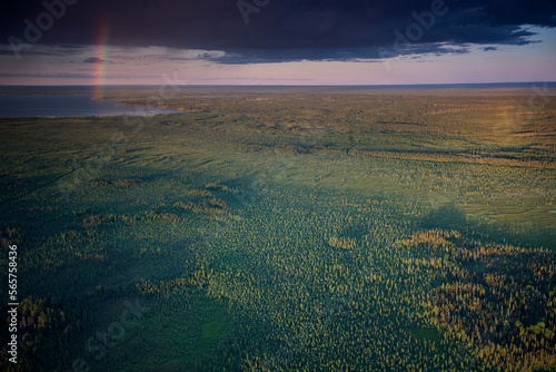 Boreal Forest near McClelland Lake with exploration cut lines , north of Fort McMurray, Alberta, Canada.
