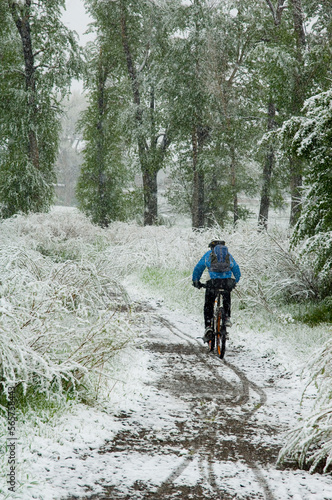 A woman mountain bilking on the Uncompagre River trail in Ridgway, Colorado. photo