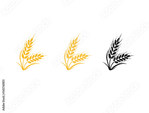 Bunch of wheat or rye ears with whole grain and leaves, yellow crop harvest symbol or icon isolated on white background.Illustration. of golden wheat on white background. Orange abstract wheat
