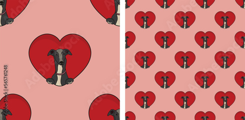 Running Greyhound dog with paws pattern, Valentine's day heart wallpaper. Love heart with pet head holiday texture. Dog face Holding Heart Cartoon square background. St Valentine's day present paper.