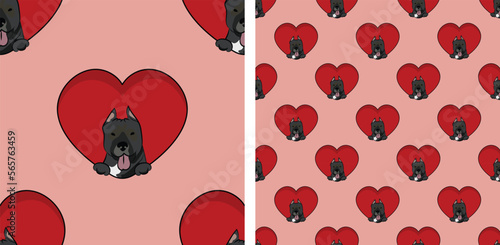 Pit bull dog with paws pattern, Valentine's day red heart wallpaper. Love heart with pet head holiday texture. Dog face Holding Heart Cartoon square background. St Valentine's day present paper.