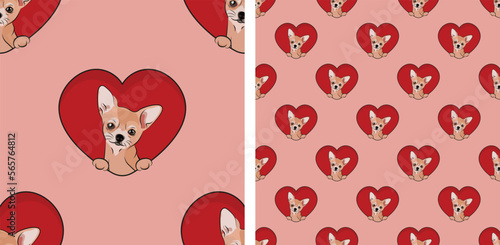 Chihuahua small dog with paws pattern, Valentine's day heart wallpaper. Love heart with pet head holiday texture. Dog face Holding Heart Cartoon square background. St Valentine's day present paper.