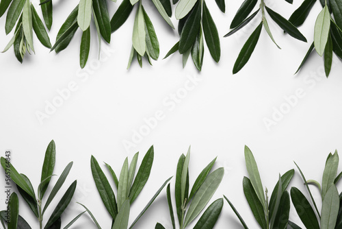 Olive twigs with fresh green leaves on white background, flat lay. Space for text