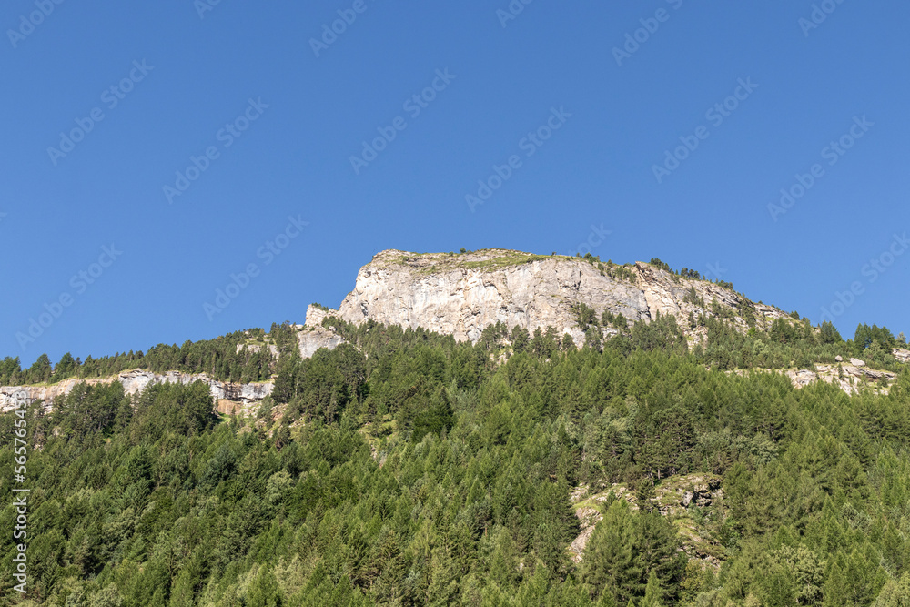 fir trees at the foot of a mountain in the pyrenees on a sunny summer day