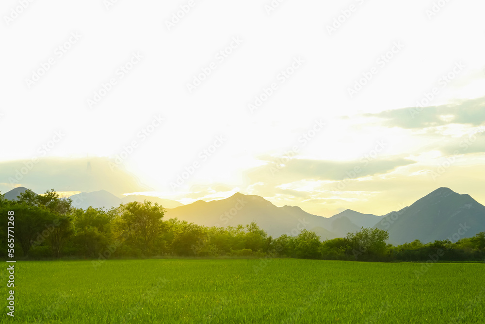 Beautiful view of mountain landscape on sunny day