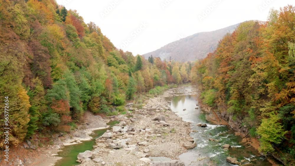 Vast lush woodland in bright oranges and yellow hues. Drone footage of alpine landscape in fall season with a fresh creek and deep forest. High quality 4k footage Vast lush woodland in bright oranges and yellow hues. Drone footage of alpine landscape in fall season with a fresh creek and deep forest. High quality 4k footage