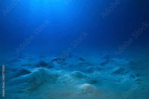 panorama coral reef underwater landscape seascape