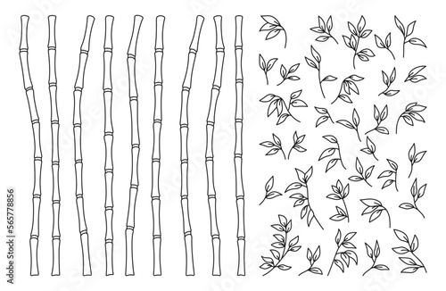 Bamboo stem and leaves outline border set. Exotic decoration elements fresh natural plant linear sketch style. Hand drawing painted Asian traditional tree leaves, sticks bamboo botanical collection