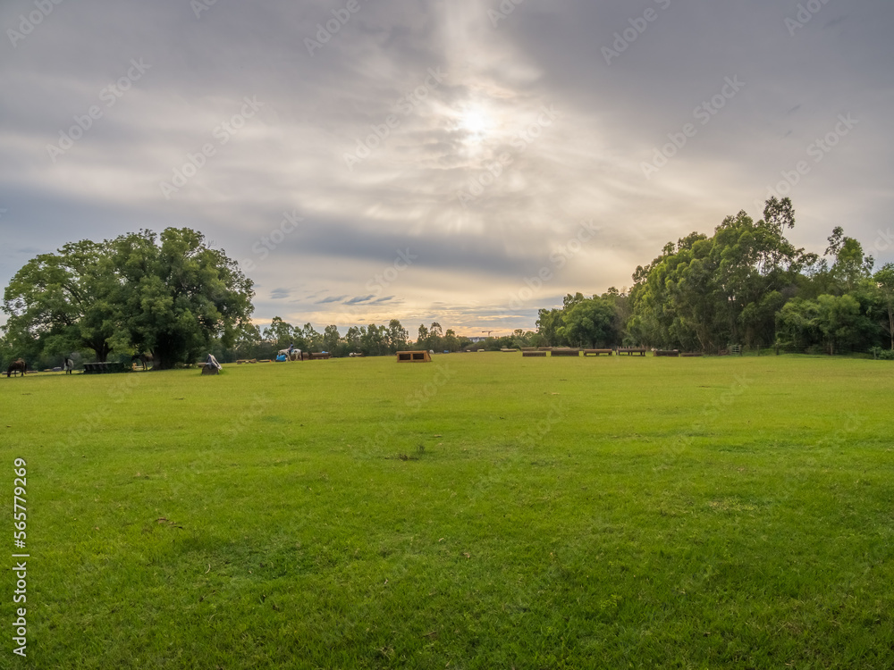 field with trees and clouds field with trees and clouds