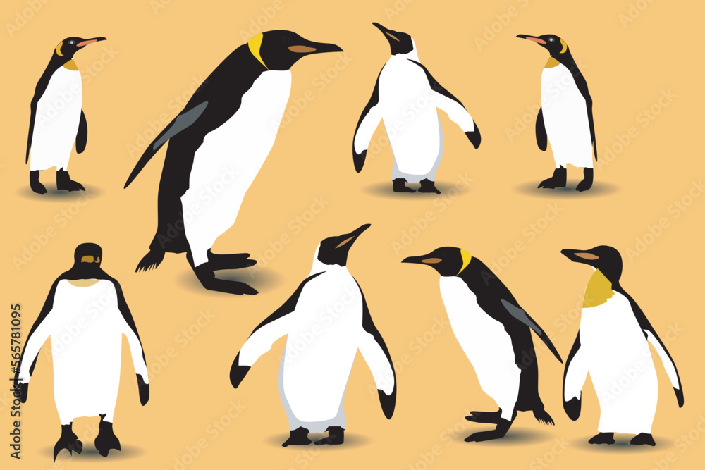 Fototapeta premium vector flat illustration set of penguins in different poses. Adult birds and chicks. Vector illustration, isolated on a white background.
