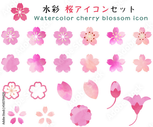 水彩の桜のベクターアイコンセット　和風　和柄　Japanese retro design　レトロ、透過背景