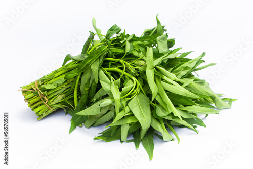Kale green or kangkung in Indonesia isolated on white background. photo