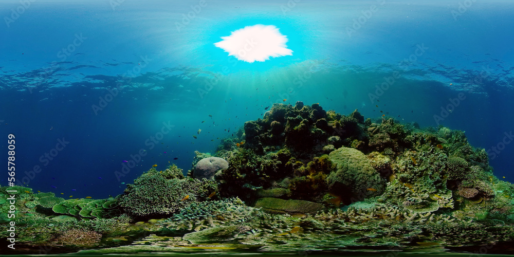 Colorful tropical coral reef. Hard and soft corals, underwater landscape. Travel vacation concept. Philippines. 360 panorama VR
