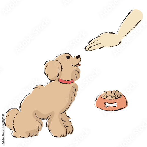 待てをする犬（ごはん・しつけ）