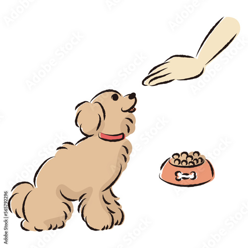 待てをする犬（ごはん・しつけ）