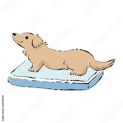 ペットシーツの上でトイレをする犬のイラスト（しつけ）