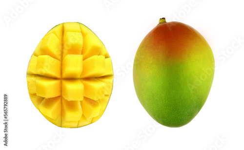 Set of mango fruits isolated on white background.