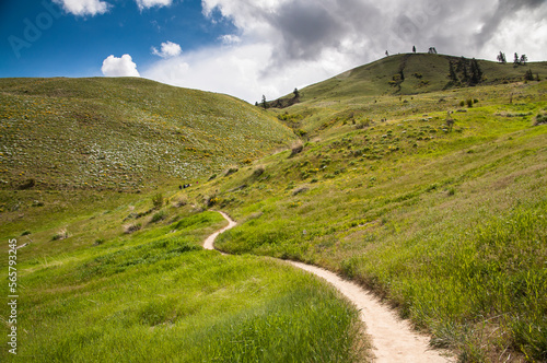 Wild flowers trail in Wenatchee