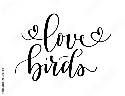 Love birds. Cute modern calligraphy romantic doodle on transparent background