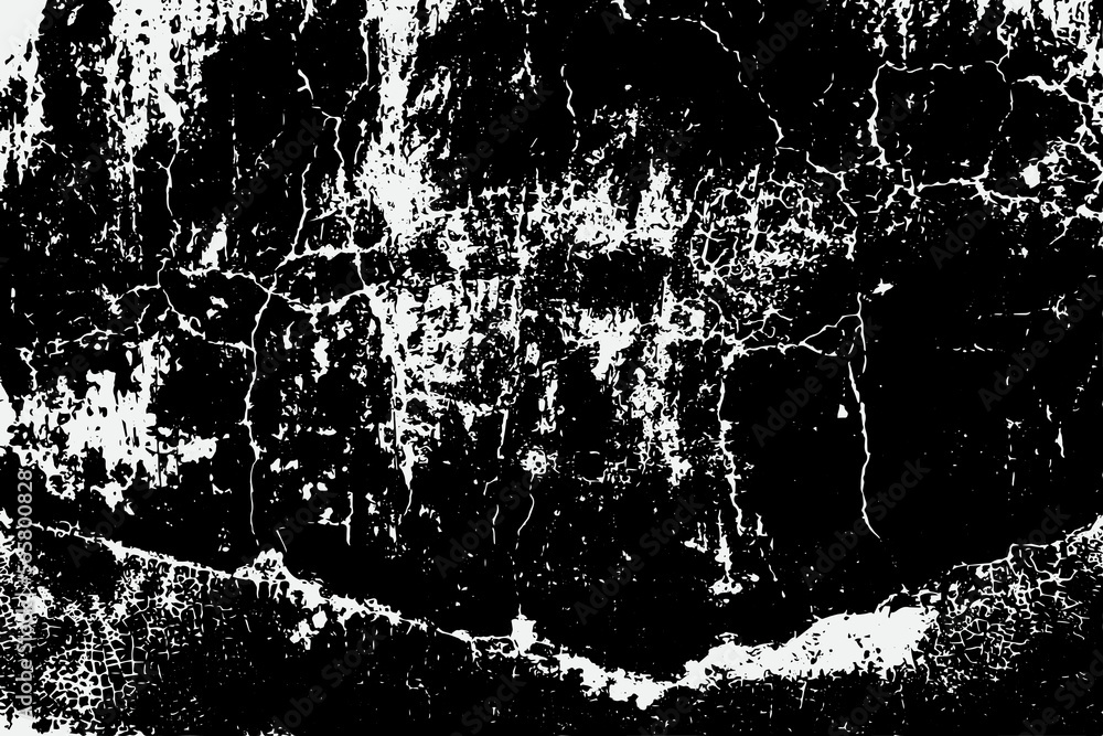 Fototapeta premium black and white fleck texture, Artistic and natural Texture With Vector EPS format
