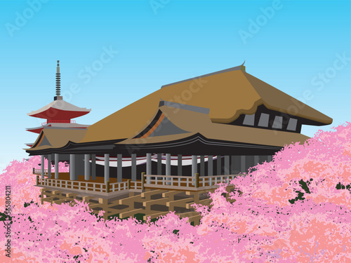 京都清水寺の桜