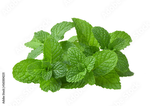 Mint leaves isolated on transparent png photo