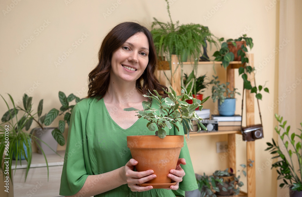 A young woman holds a houseplant in her hands. Young beautiful woman caring for potted indoor plants. Home gardening. Biophilia design and urban jungle concept. A young woman holds a houseplant in her hands. Young beautiful woman caring for potted indoor plants. Home gardening. Biophilia design and urban jungle concept.