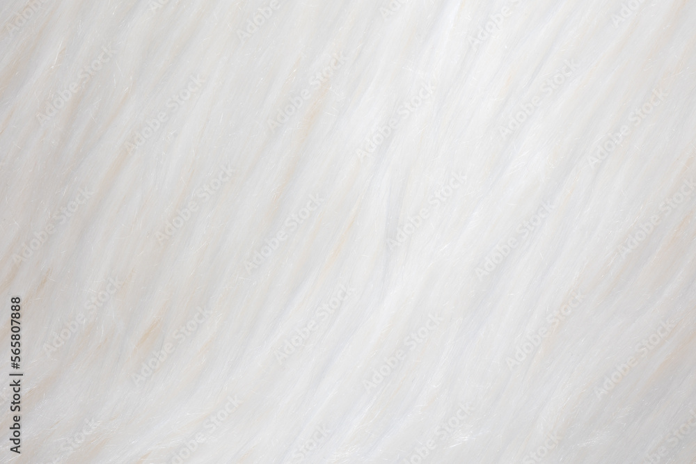detail of a white fur as a graphic element for the background detail of a white fur as a graphic element for the background