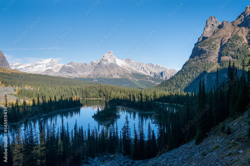View of Lake O'Hara Valley from the Opabin Prospect overlook, Yoho National Park, Canadian Rockies.