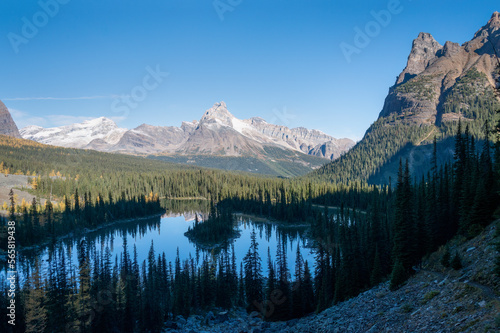 View of Lake O'Hara Valley from the Opabin Prospect overlook, Yoho National Park, Canadian Rockies. photo