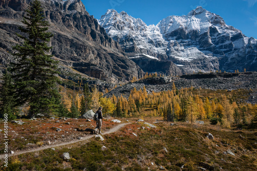 Hiking Lake O'Hara in autumn, Yoho National Park, Canadian Rockies.