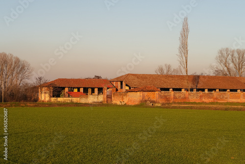 Cascina masseria fattoria panorama agricoltura antica Pianura Padana photo