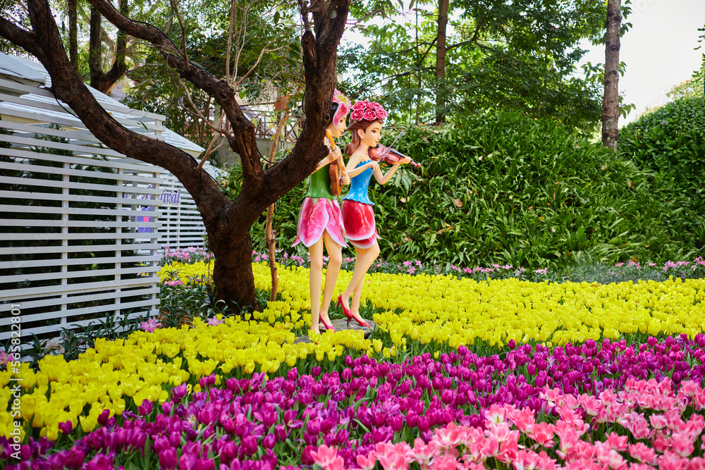 Multicolored of fresh tulip at tulip park