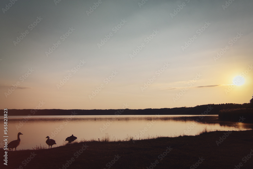 Naklejka premium See im Abendrot mit Vögel - Sunset - Landscape - Beautiful sunset scene over the lake and silhouette hills in the background - Sunrise over sea - 