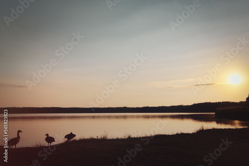 See im Abendrot mit V  gel - Sunset - Landscape - Beautiful sunset scene over the lake and silhouette hills in the background - Sunrise over sea -  
