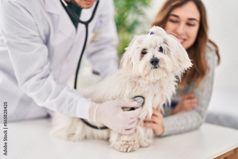 Man and woman veterinarian auscultating dog at veterinary clinic Man and woman veterinarian auscultating dog at veterinary clinic