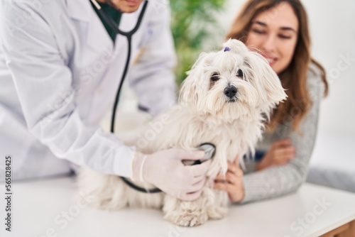 Man and woman veterinarian auscultating dog at veterinary clinic