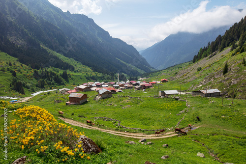 A beautiful landscape from the Elevit uplands of Rize in Black Sea region of Turkey. 