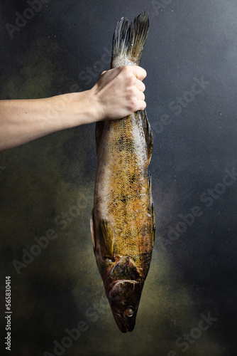hand holding a fish on a dark background
