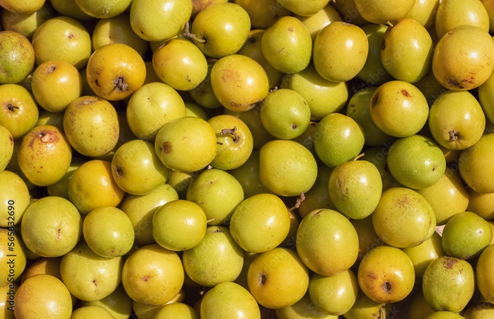 Closeup of Jujube or Ziziphus Jujuba Stack in Horizontal Orientation Closeup of Jujube or Ziziphus Jujuba Stack in Horizontal Orientation